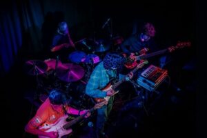 Habitantes del Acuario