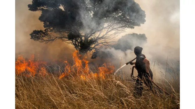 Medidas de prevención para evitar incendios forestales