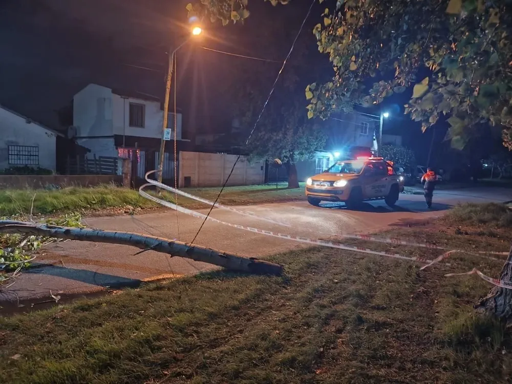 Mar del Plata: árboles caídos, semáforos dañados y carpas destrozadas por un temporal