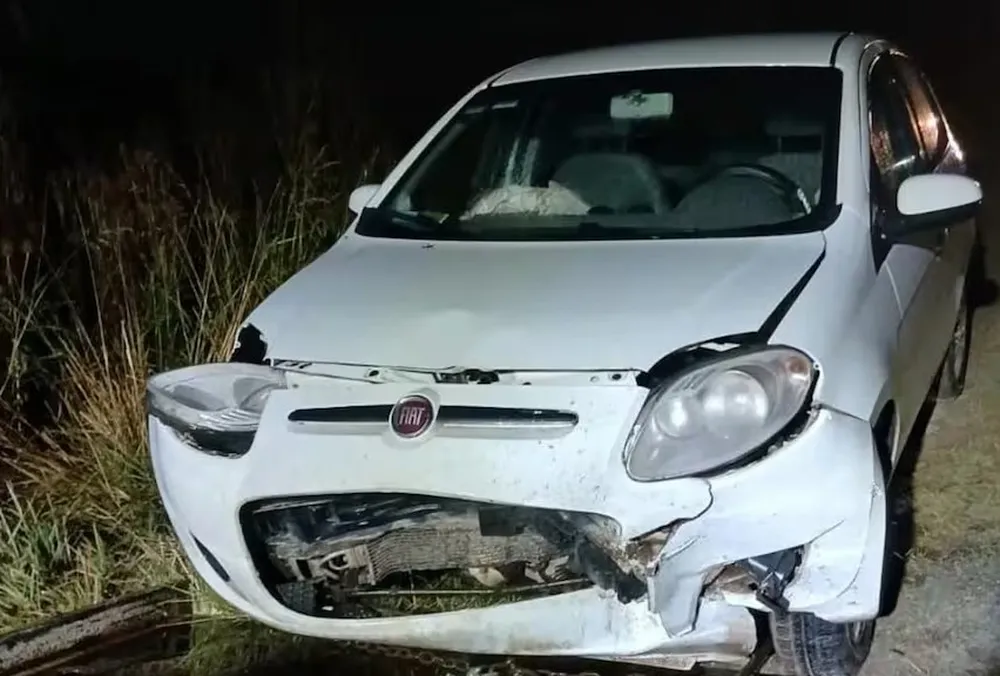 Fatalidad en la Ruta 88: Murió atropellado cuando intentó dar ayuda tras un choque con un carpincho