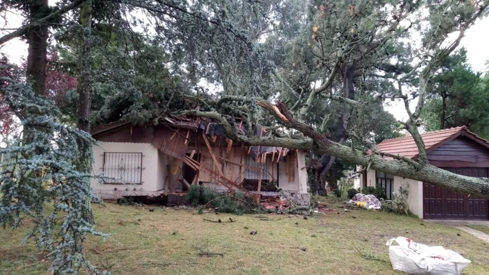 Fue la cola de un tornado: Durante el temporal hubo zonas donde no se movió una hoja o no cayó una gota de lluvia