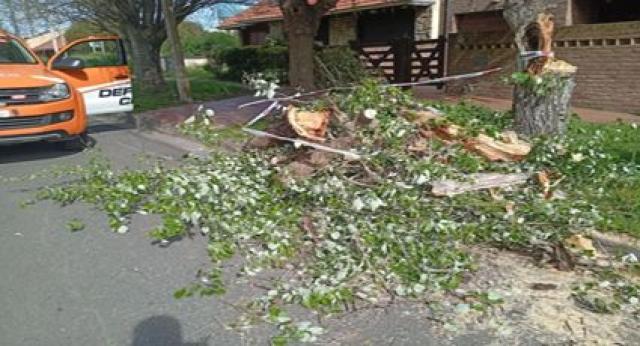 El Municipio hoy suspende las clases en el turno mañana: A las 10.00 definen turno vespertino