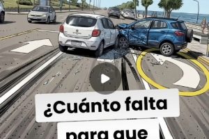 Sálvese quién pueda: La inducción a la tragedia desde Movilidad Urbana en la MGP