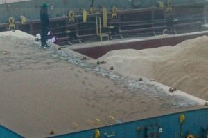 Estrena en Mar del Plata “Argentina sangra”, el nuevo documental de Andrés Cedrón