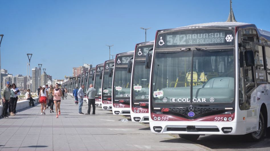 El aumento del boleto de pasajeros: Otro brete para el gobierno local de LLA y sus aliados en Mar del Plata