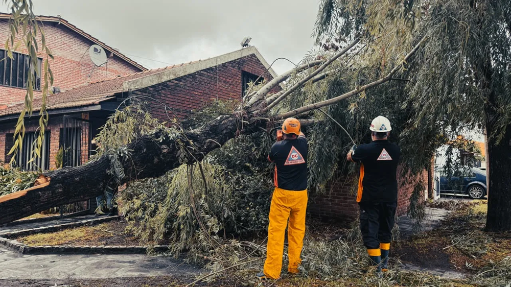 Comprende a Mar del Plata: El domingo llega un temporal con vientos de hasta 100 km/h