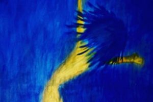 El Teatro Auditorium inaugurará tres muestras de artes visuales