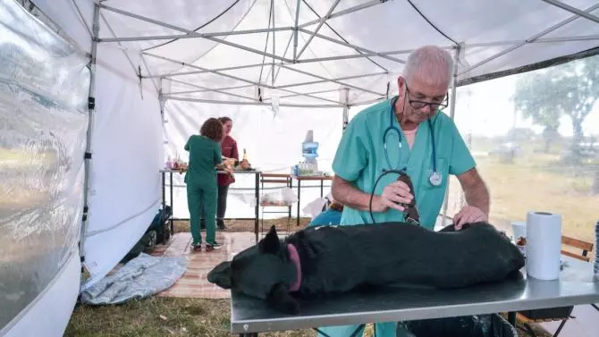 Nuevas ubicaciones de los quirófanos móviles para animales