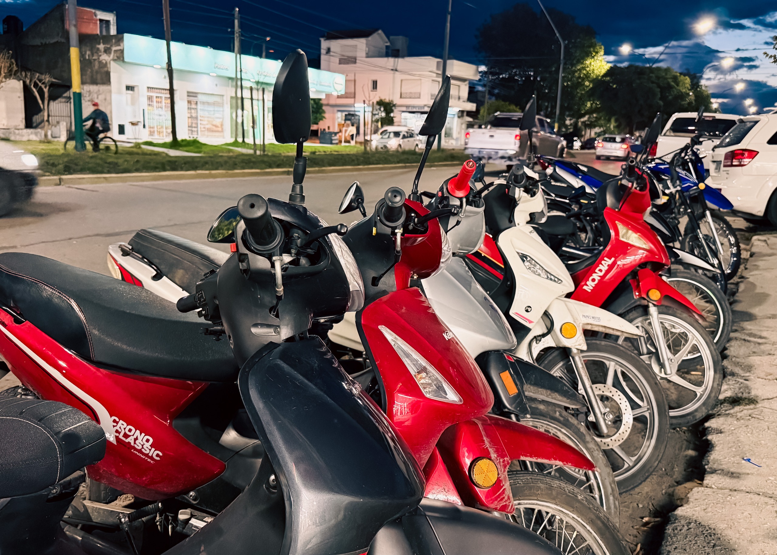 La municipalidad sale a cazar en el zoológico: Secuestraron 447 motos