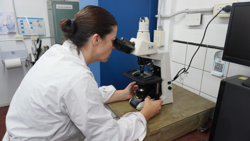 Orgullo bonaerense: científicas de la UNMDP crean bioplástico a partir de desechos del puerto
