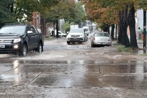 Temporal en Mar del Plata: calles anegadas y rescates tras intensas lluvias