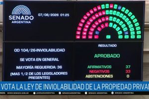 El Senado aprobó con lo justo la Ley de Propiedad Privada: media sanción, recortes y fuerte tensión política