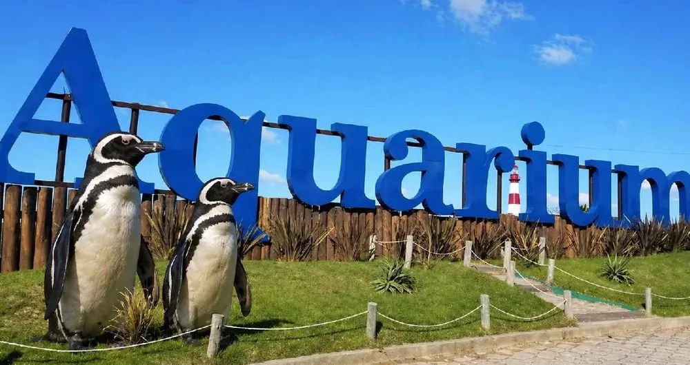 Se rematan 4 pingüinos del Aquarium: US$ 40.000.- : Fueron tasados en US$ 57.000.-