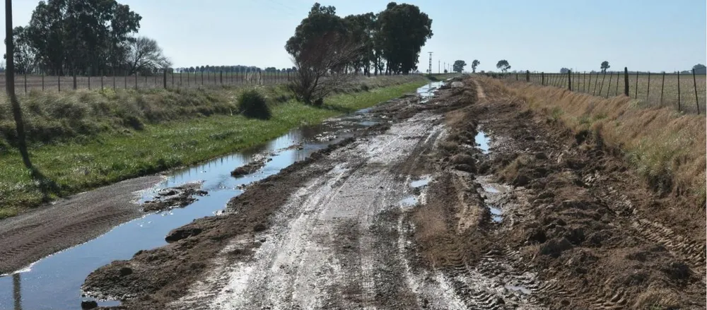 Ingenieros bonaerenses advierten por el traspaso del mantenimiento de caminos rurales a los productores