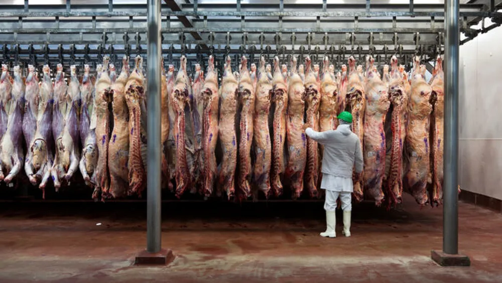 Argentina quedó fuera del nuevo cupo de 300.000 toneladas de carne que importará EE.UU.