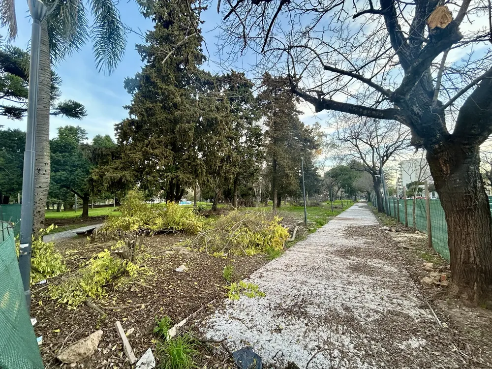 Conmoción en La Plata por cinco suicidios en menos de 24 horas