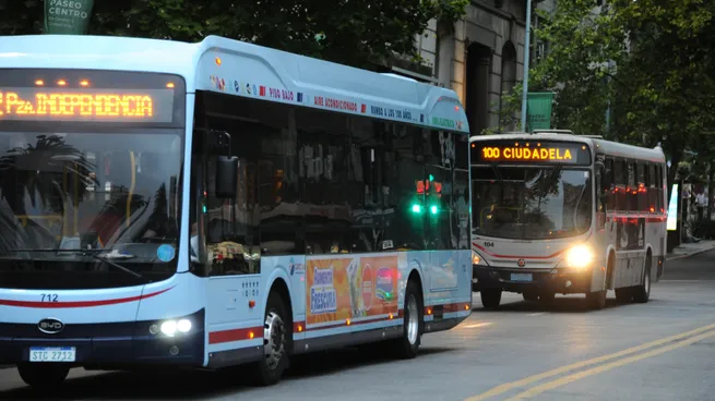 Piden pausar los planes para el transporte de Montevideo por dudas en costos y gestión