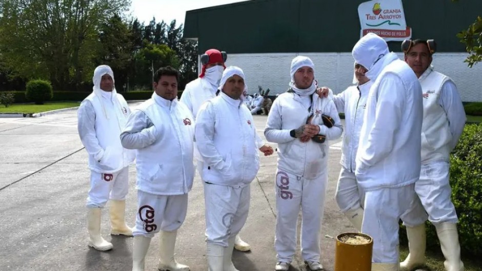 El drama social que encierra Toledo un caso gemelo a Granja Tres Arroyos: Derivaciones descontroladas