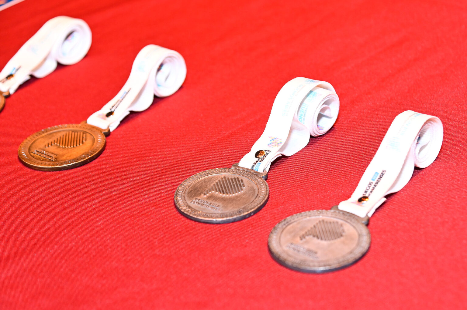 Los Juegos Bonaerenses con reparto de medallas fueron el éxito de la competencia