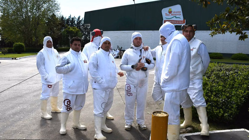 Granja Tres Arroyos: sin conciliación, quedaron firmes los 1.250 despidos